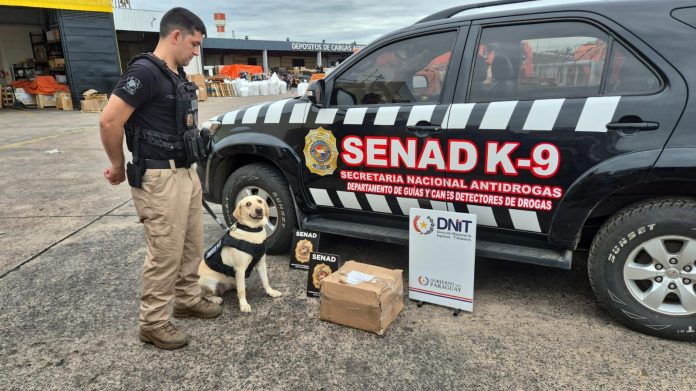 aduana- dnit- senad- carga