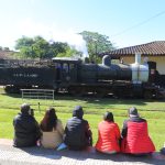 La movida del tren