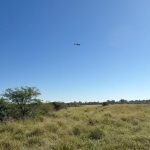 fumigacion aerea