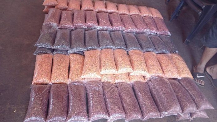 semillas de autoconsumo