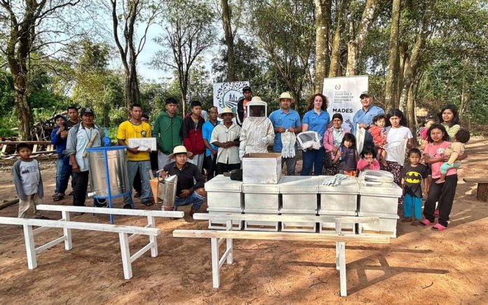 apicultura- entrega- mades