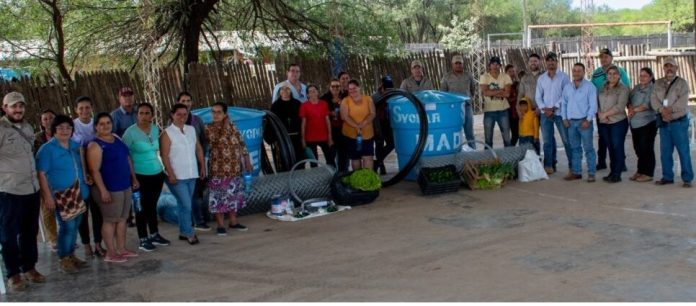 mades fortalece horticultura alto paraguay