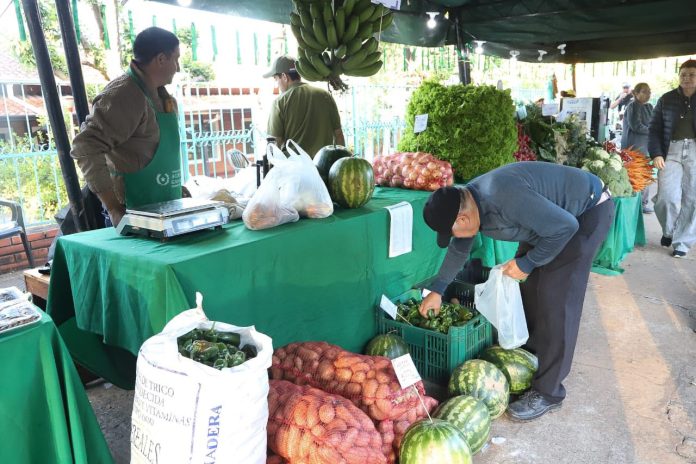 feria de la agricultura frente a la dea san lorenzo