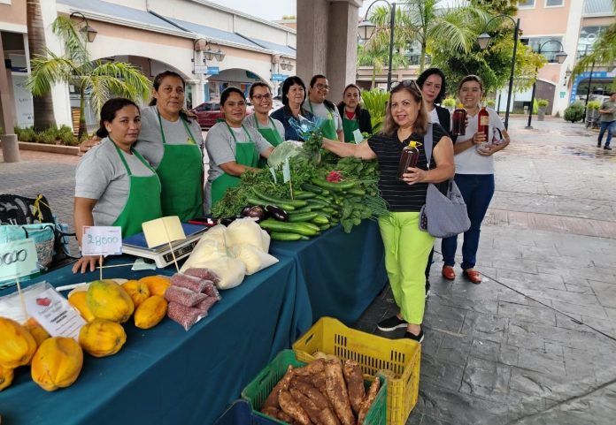 feria paseo 1811 martes