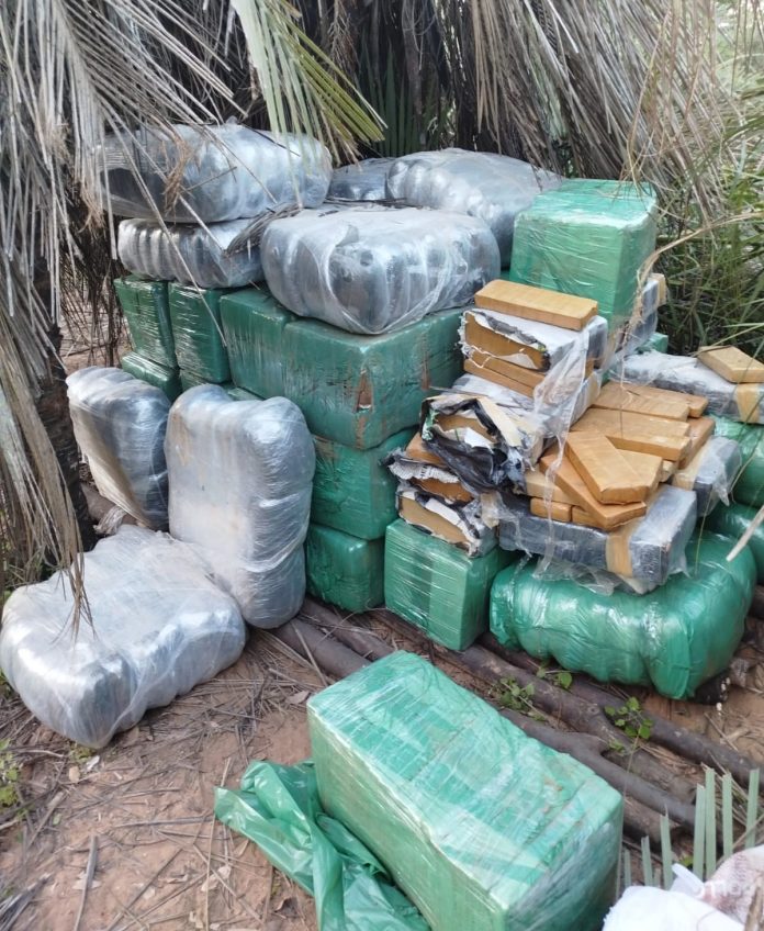 marihuana incautada en ñeembucu