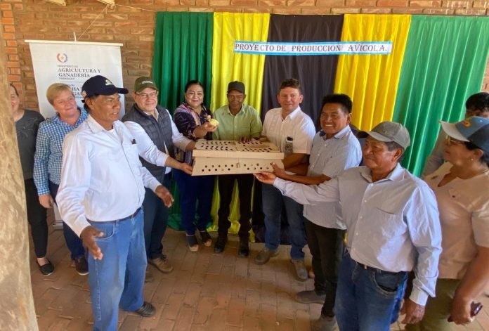 proyecto produccion avicola chaco