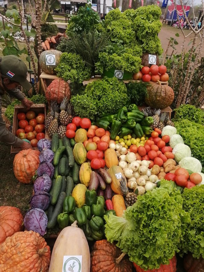 feria campesina 1811 fernando