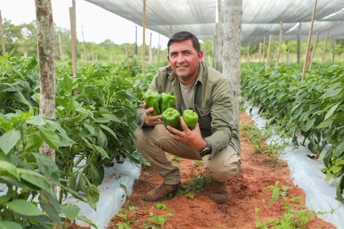 pequeños productores
