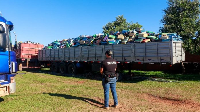 record de marihuana incautado en saltos del guaira