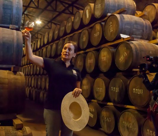 «La Ruta de la Caña», es de interés cultural por promover la historia y tradición