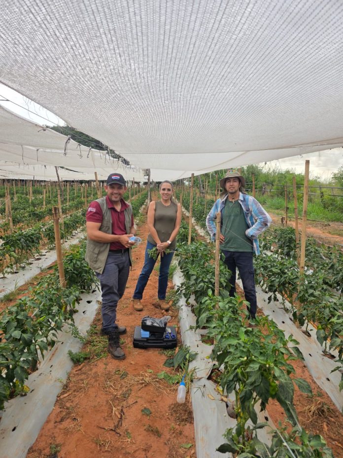 mag.israel.paraguay.alianza.producción