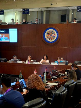 Paraguay es electo Vicepresidente de la Comisión Interamericana de Mujeres para el período 2026-2029