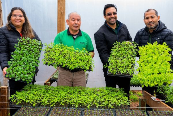 Emprendimientos familiares en Juan E. O’Leary crecen con apoyo del Crédito Agrícola de Habilitación