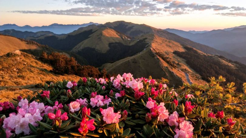 Taiwán: innovación global, naturaleza imponente y una cultur